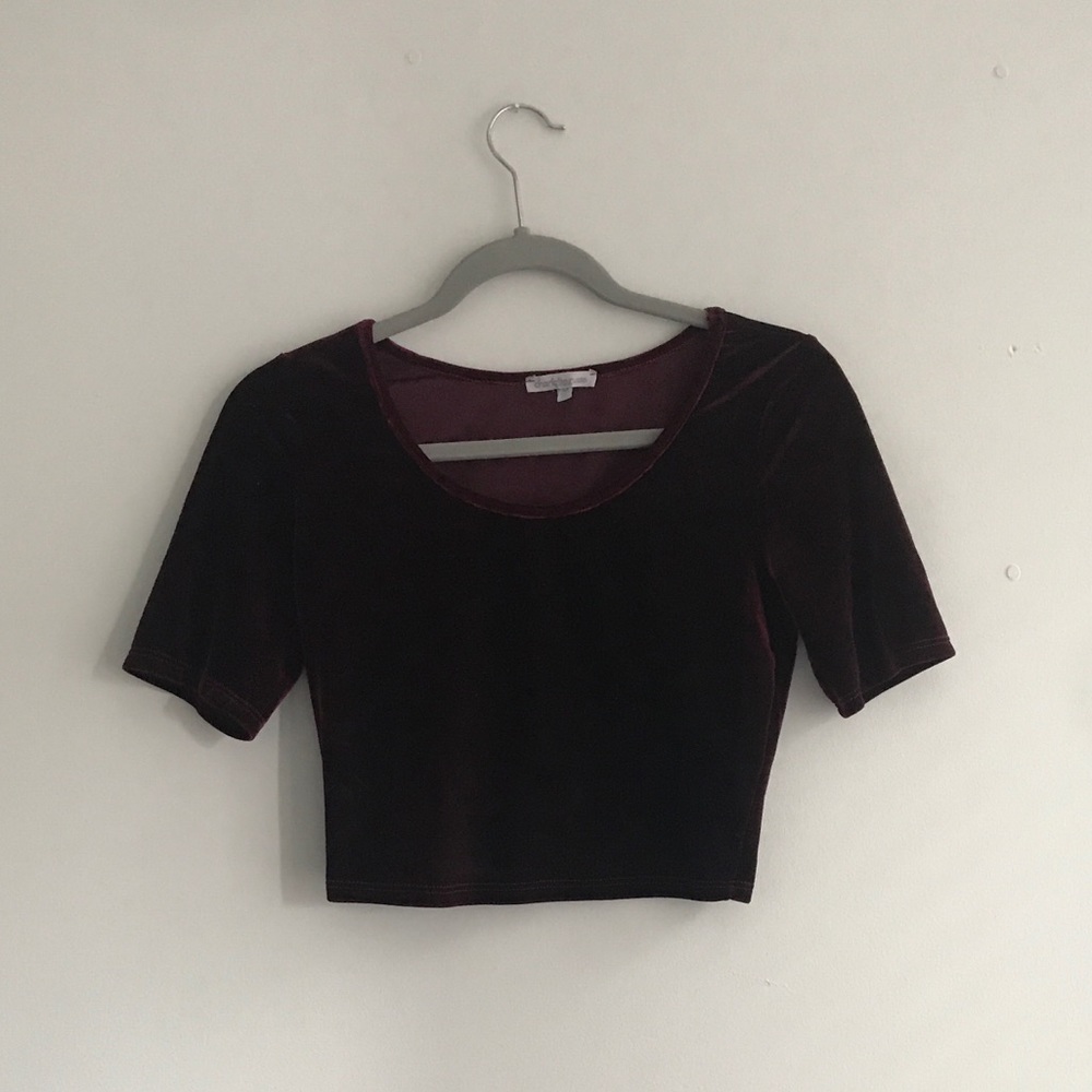 Velvet Crop Top